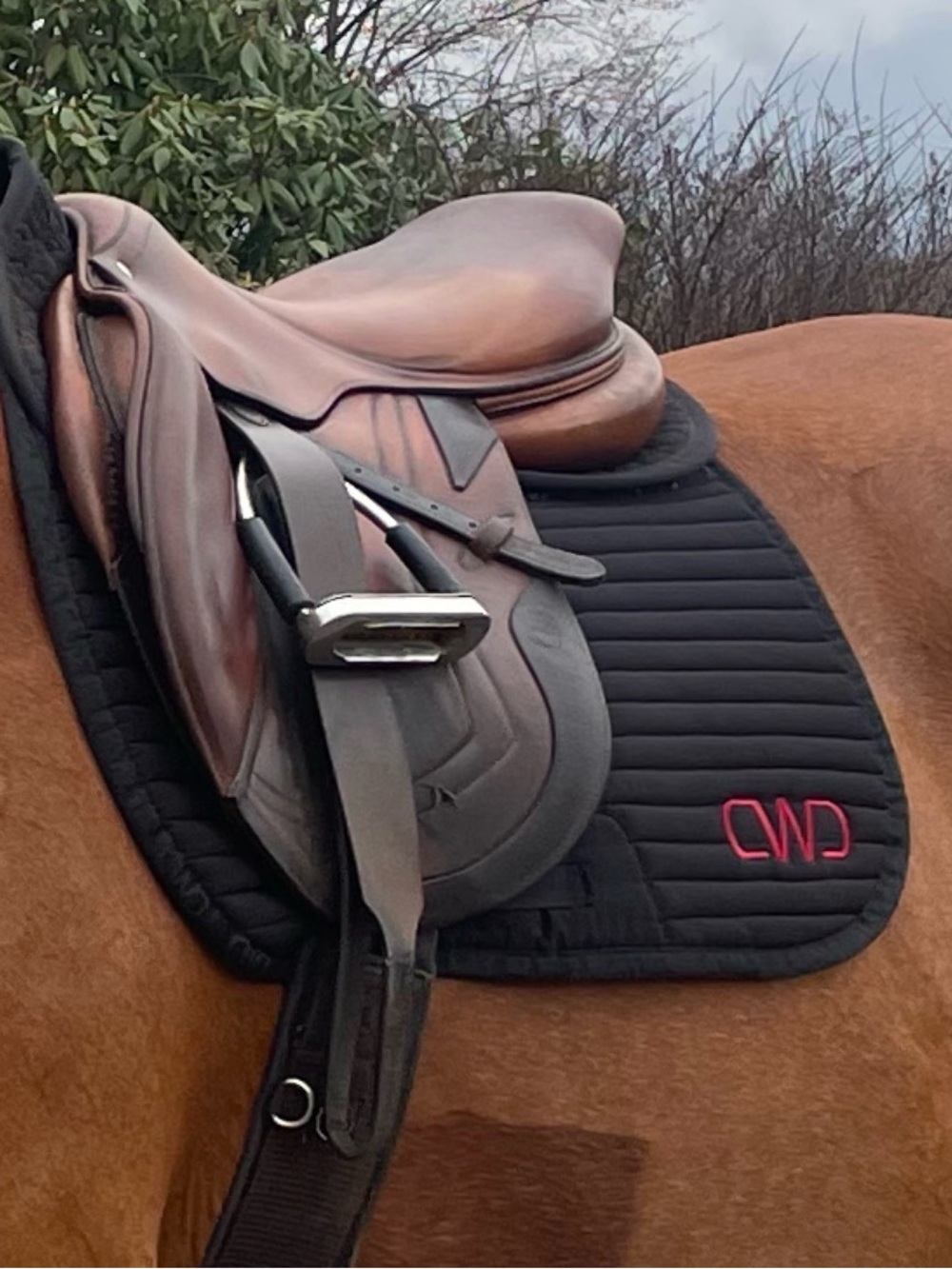 CWD Saddle Pad